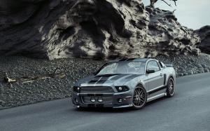 Ford Mustang GT500 The Konquistador by Reifen Koch 2012 года